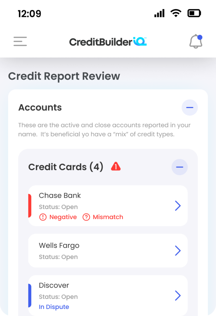 UI of credit report review